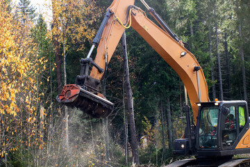Enhancing Land Management Through Effective Forestry Mulching