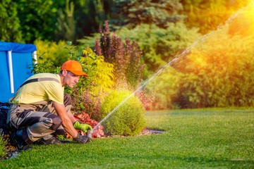 Mastering Effective Lawn Care Techniques