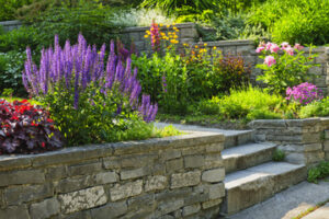 Landscaping 