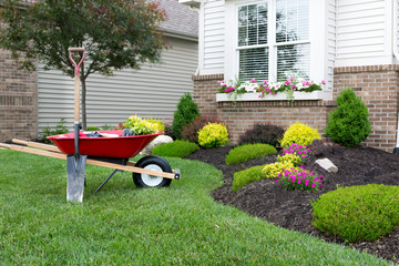 Landscaping Ideas For Busy Homeowners